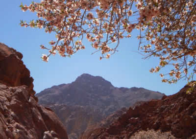 Blick auf den Katharinenberg, die höchste Erhebung im Sinai (ca. 2600 Meter).